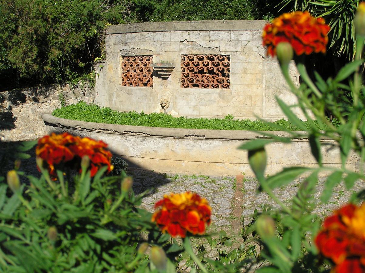 Agriturismo Grazia Orbetello Ngoại thất bức ảnh