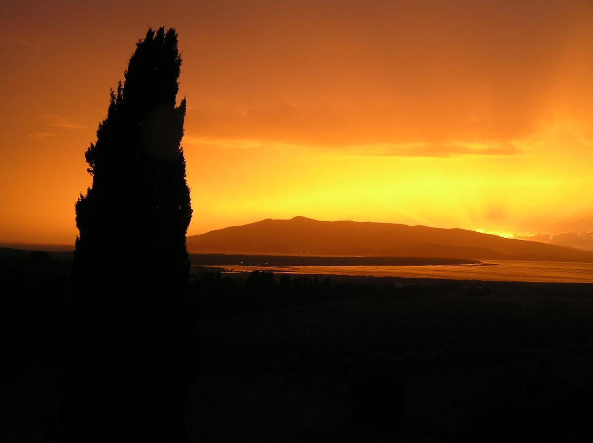 Agriturismo Grazia Orbetello Ngoại thất bức ảnh