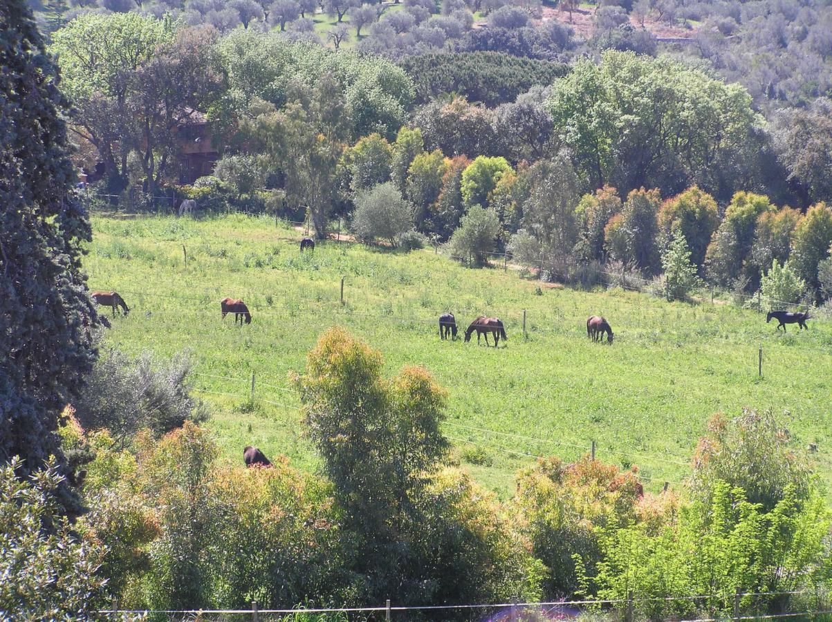 Agriturismo Grazia Orbetello Ngoại thất bức ảnh