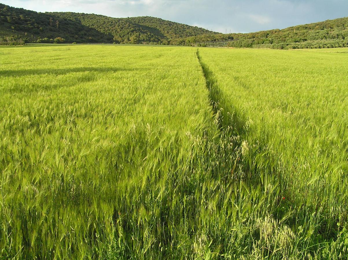 Agriturismo Grazia Orbetello Ngoại thất bức ảnh