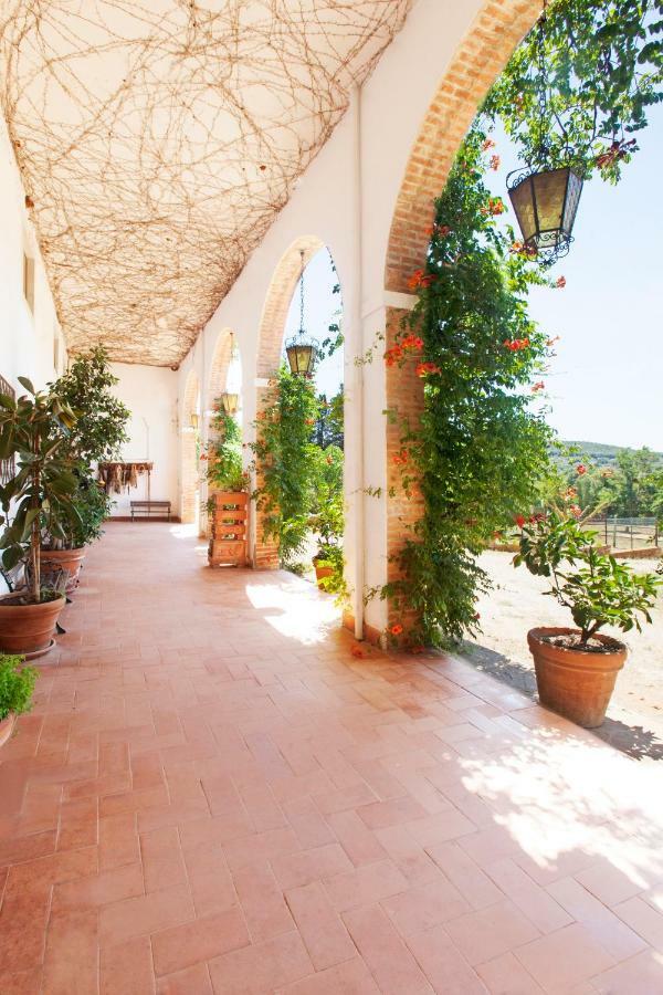 Agriturismo Grazia Orbetello Ngoại thất bức ảnh
